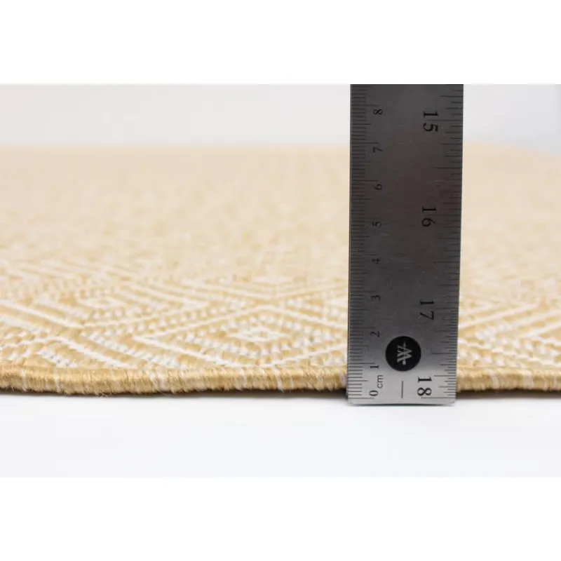 Indoor or Outdoor Rug - 7 x 10