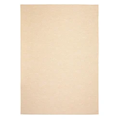 Indoor or Outdoor Rug - 7 x 10