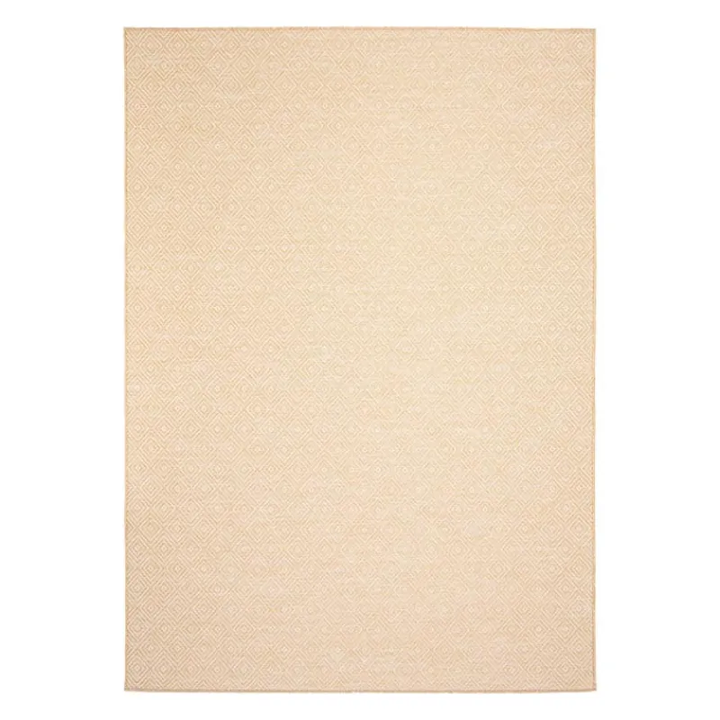 Indoor or Outdoor Rug - 7 x 10
