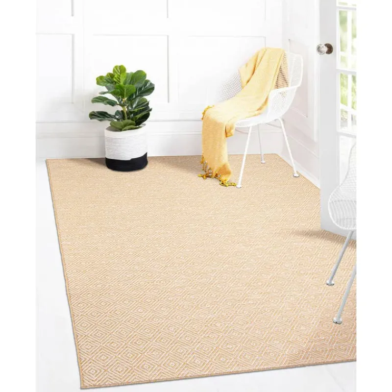 Indoor or Outdoor Rug - 7 x 10