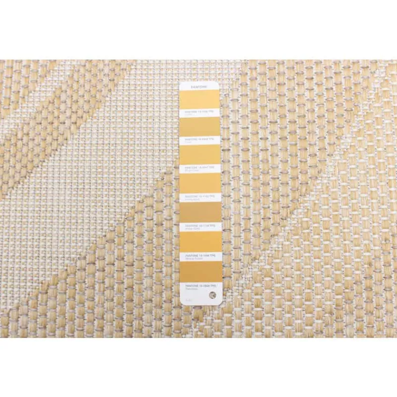 Indoor or Outdoor Rug - 7 x 10