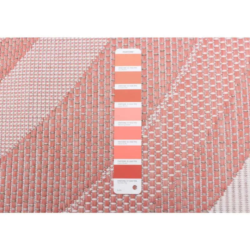 Indoor or Outdoor Rug - 7 x 10
