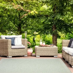 Indoor or Outdoor Rug - 5 x 7