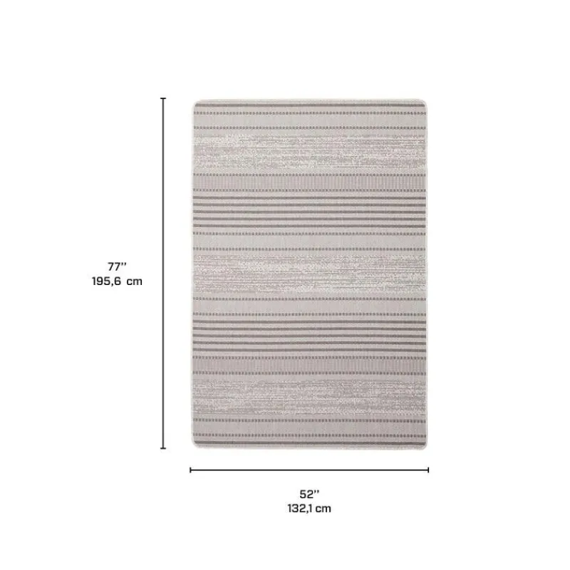 Indoor or Outdoor Rug - 4 x 6