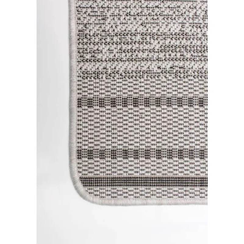 Indoor or Outdoor Rug - 4 x 6