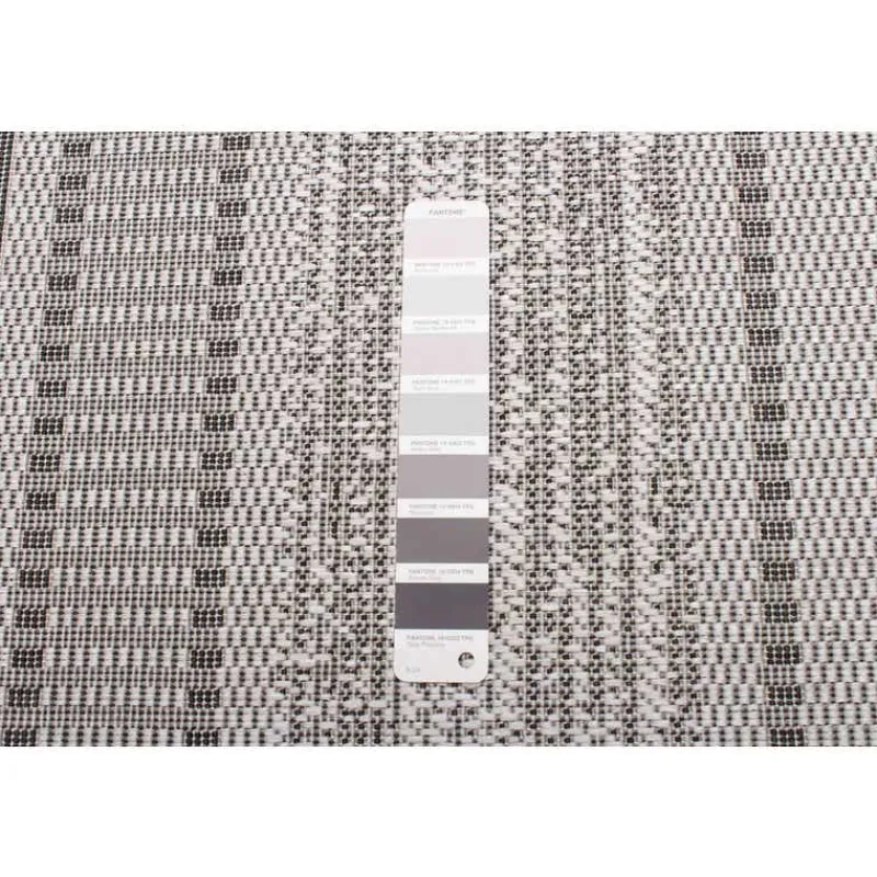 Indoor or Outdoor Rug - 4 x 6