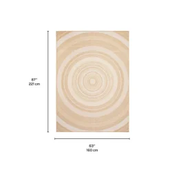 Indoor or Outdoor Rug - 5 x 7