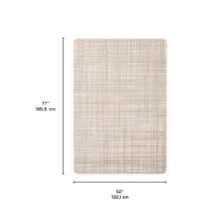 Indoor or Outdoor Rug - 4 x 6