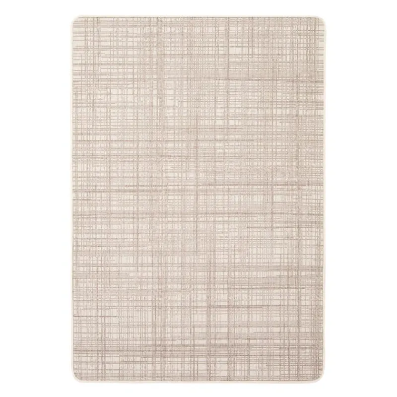 Indoor or Outdoor Rug - 4 x 6
