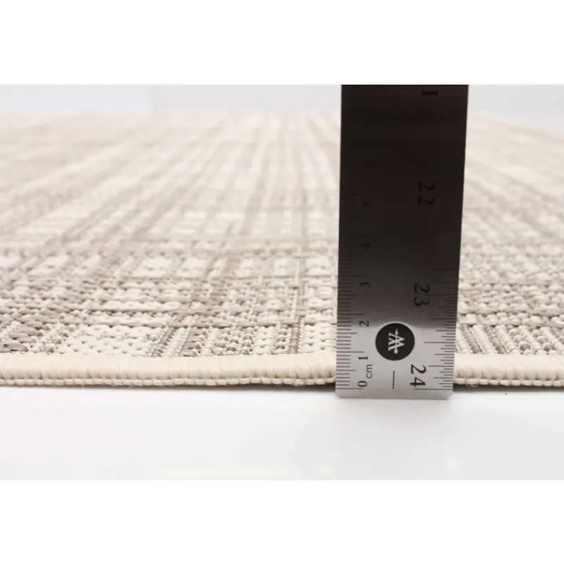 Indoor or Outdoor Rug - 4 x 6