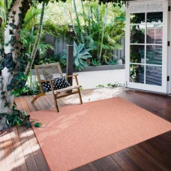 Indoor or Outdoor Rug - 5 x 7