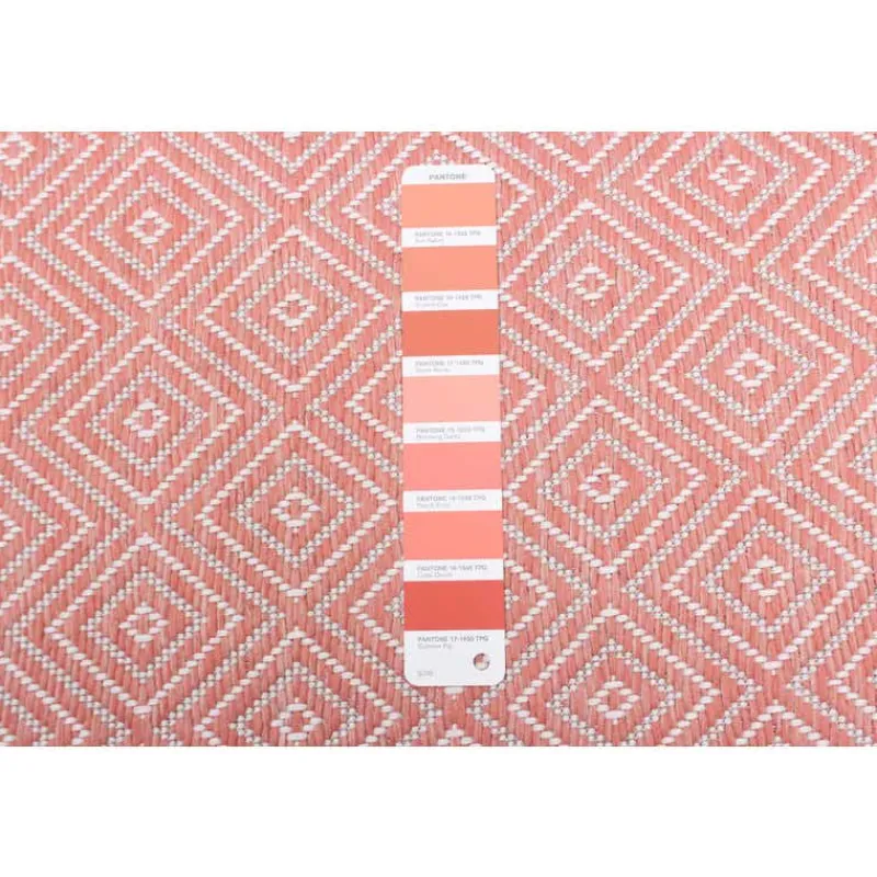 Indoor or Outdoor Rug - 5 x 7