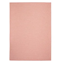 Indoor or Outdoor Rug - 5 x 7