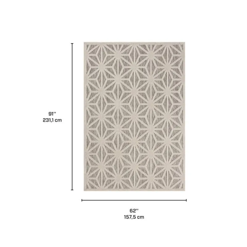 Indoor or Outdoor Rug - 5 x 8
