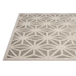 Indoor or Outdoor Rug - 5 x 8