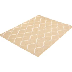 Indoor or Outdoor Rug - 7 x 10