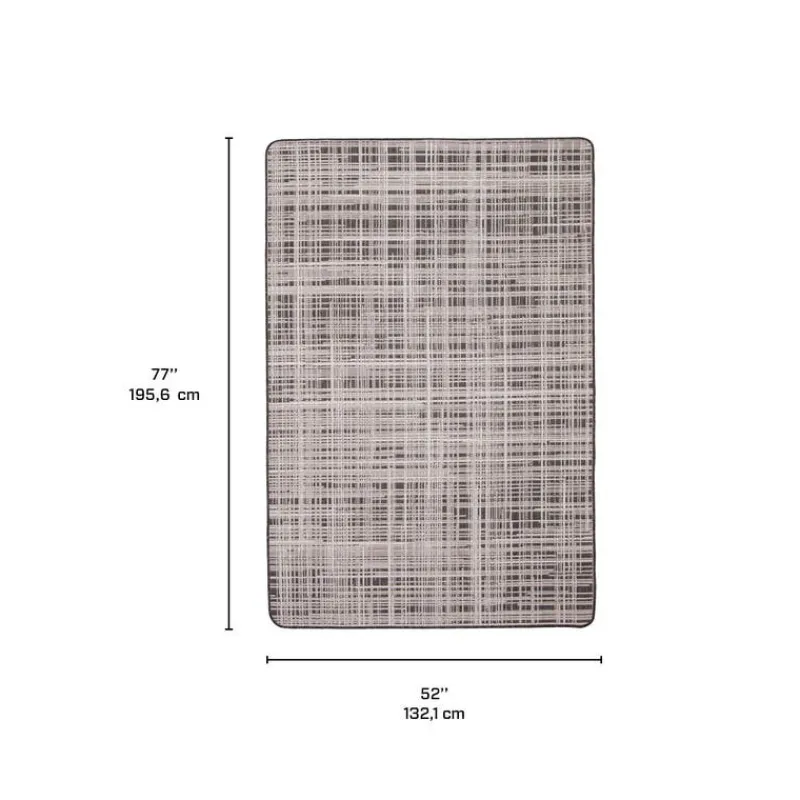 Indoor or Outdoor Rug - 4 x 6