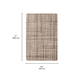 Indoor or Outdoor Rug - 4 x 6