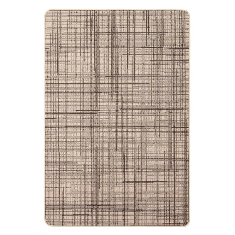 Indoor or Outdoor Rug - 4 x 6