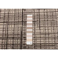 Indoor or Outdoor Rug - 4 x 6