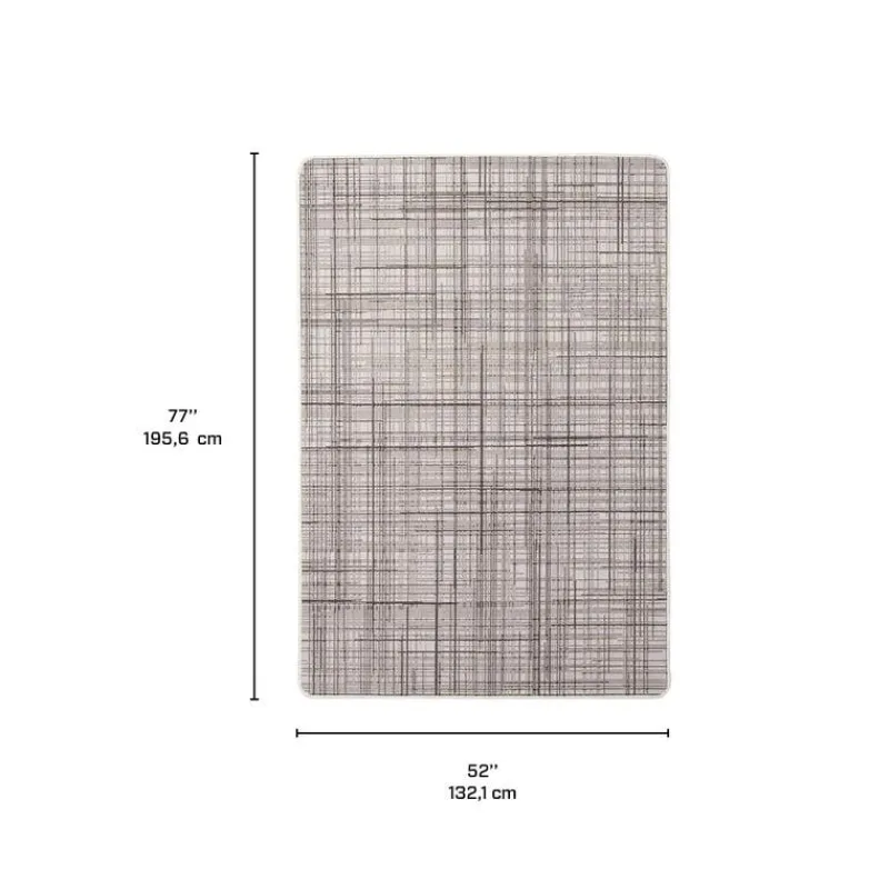 Indoor or Outdoor Rug - 4 x 6