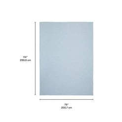 Indoor or Outdoor Rug - 7 x 10