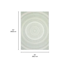 Indoor or Outdoor Rug - 7 x 10