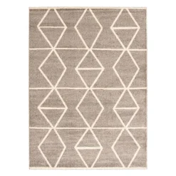 Indoor Rug - 4 x 6