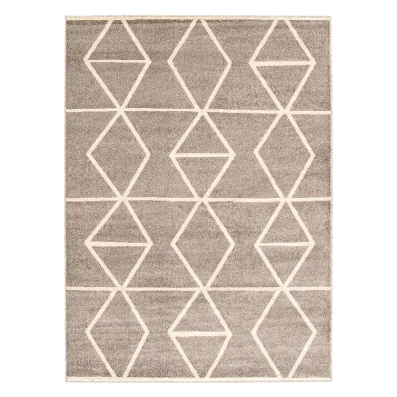Indoor Rug - 4 x 6