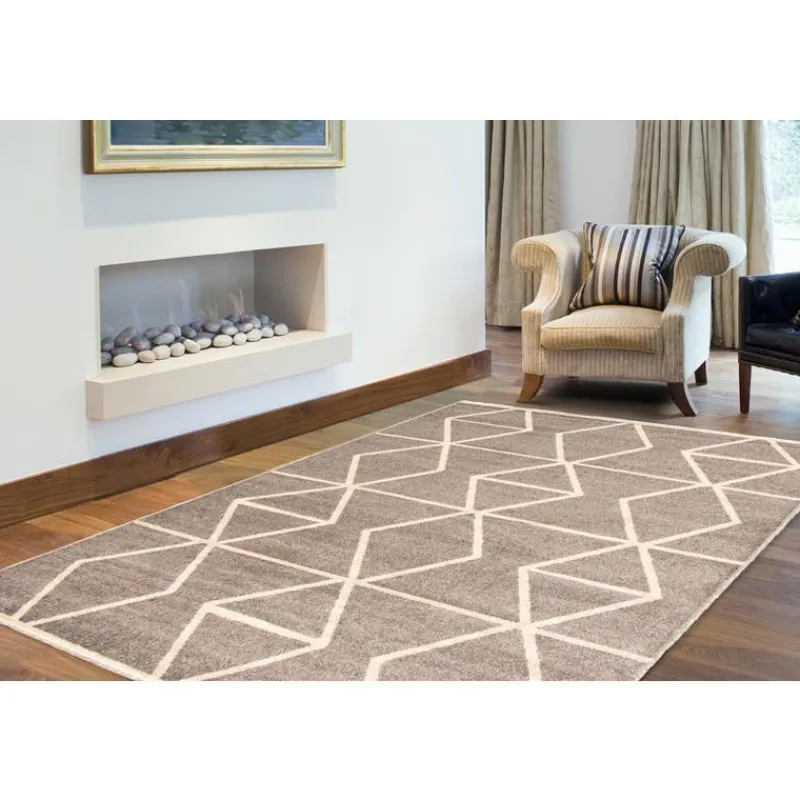 Indoor Rug - 4 x 6