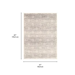 Indoor Rug - 4 x 6