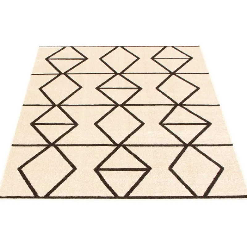 Indoor Rug - 8 x 10