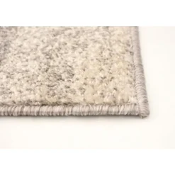 Indoor Rug - 4 x 6