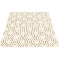 Indoor Rug - 7 x 10