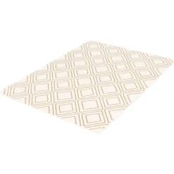 Indoor Rug - 7 x 10