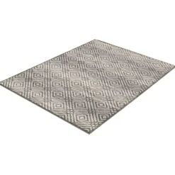 Indoor Rug - 4 x 6