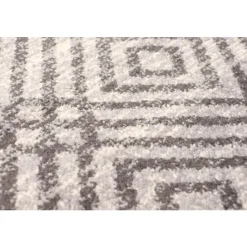 Indoor Rug - 4 x 6