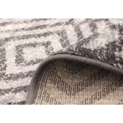 Indoor Rug - 4 x 6