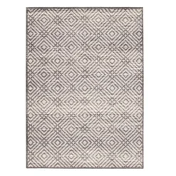 Indoor Rug - 4 x 6