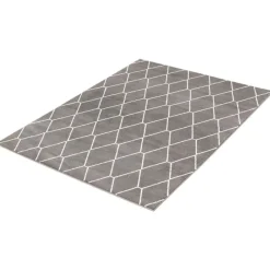 Indoor Rug - 5 x 7