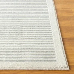 Indoor Rug - 5 x 8