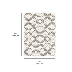 Indoor Rug - 7 x 10