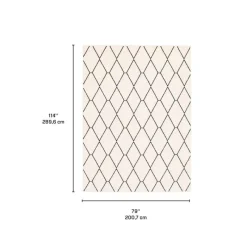 Indoor Rug - 7 x 10