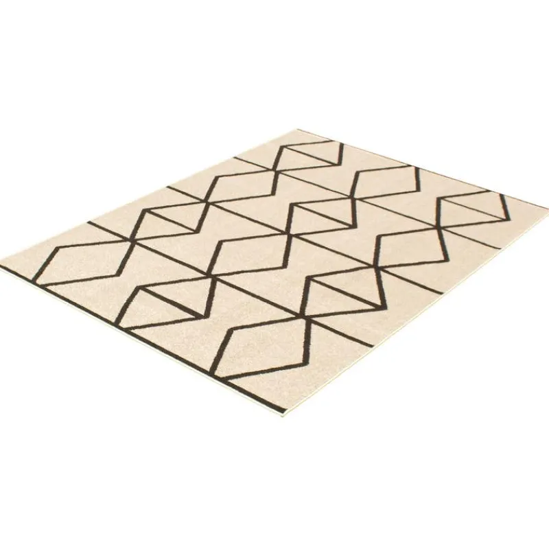 Indoor Rug - 4 x 6