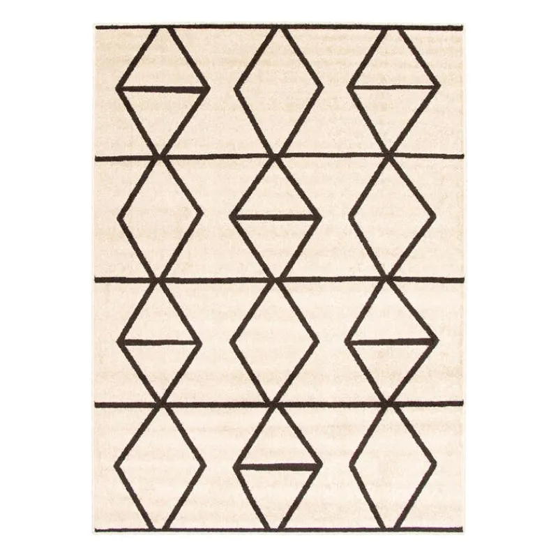 Indoor Rug - 4 x 6