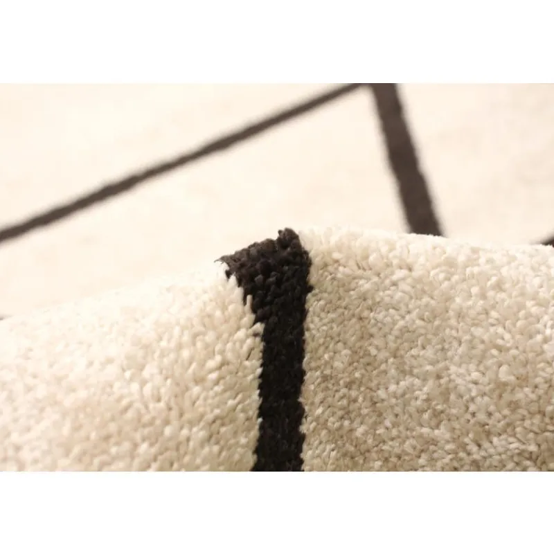 Indoor Rug - 4 x 6