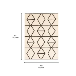 Indoor Rug - 4 x 6
