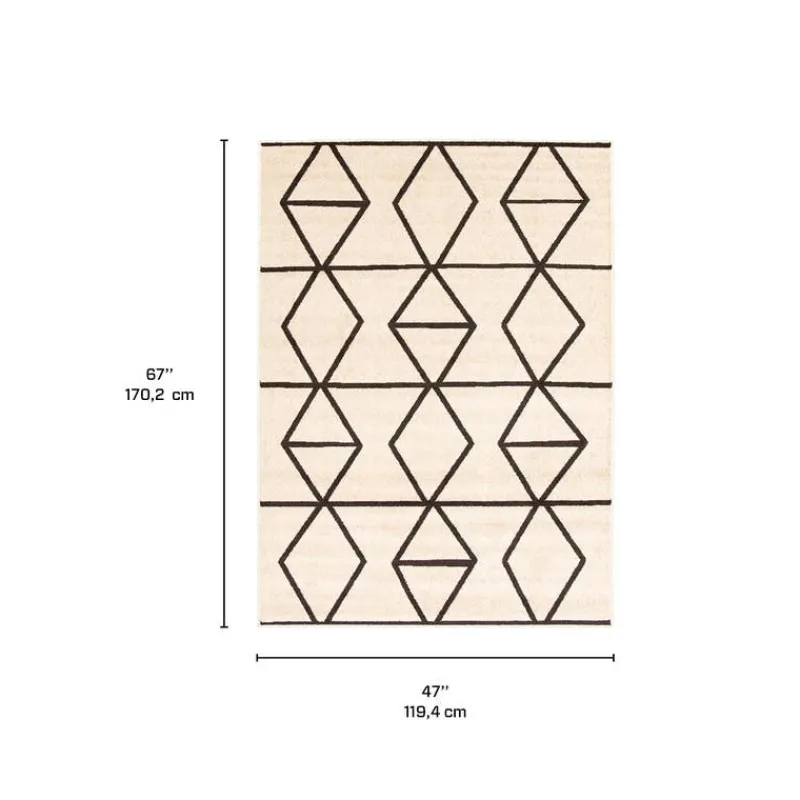 Indoor Rug - 4 x 6