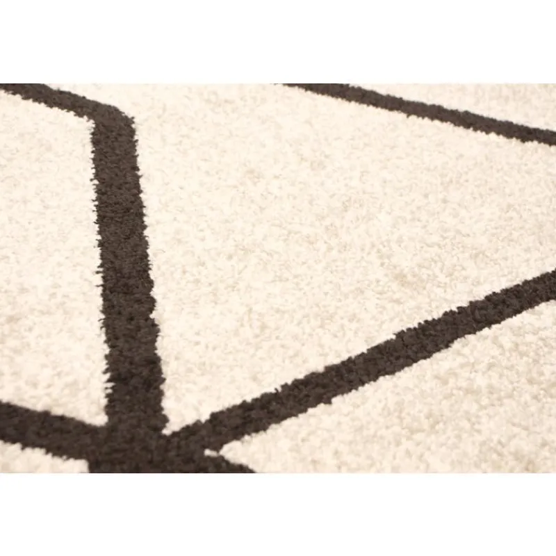 Indoor Rug - 4 x 6