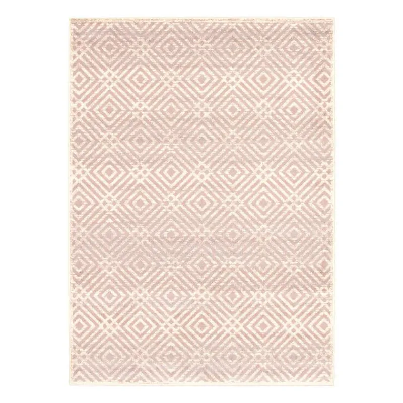 Indoor Rug - 8 x 10